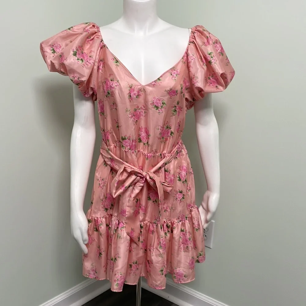 love shack fancy x target Cecile pink ruffle dress size 12 - Picture 5 of 14